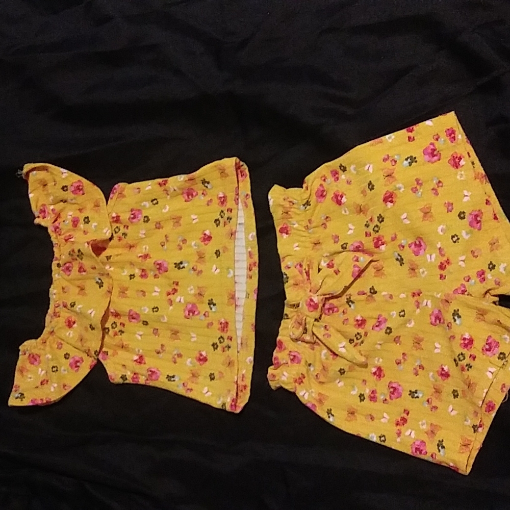 18 month toddler girl shirt and shorts set.